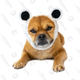 Zoo Snoods Panda Ear Warmer | $16 | Chewy